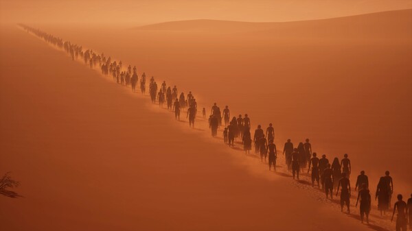 《寂静之国的波斯菊》中文版