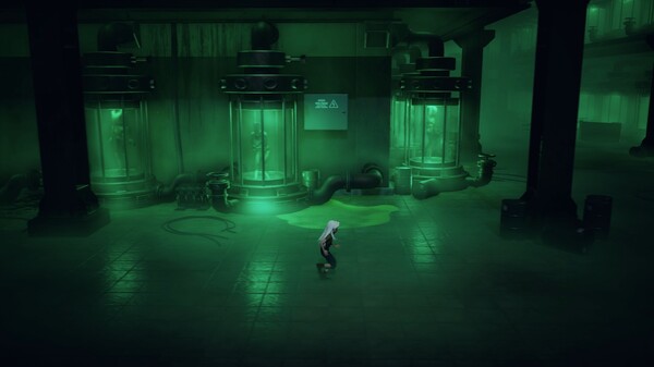 《寂静之国的波斯菊》中文版