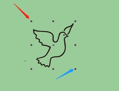 CorelDRAW X7怎么插入鸽子图形