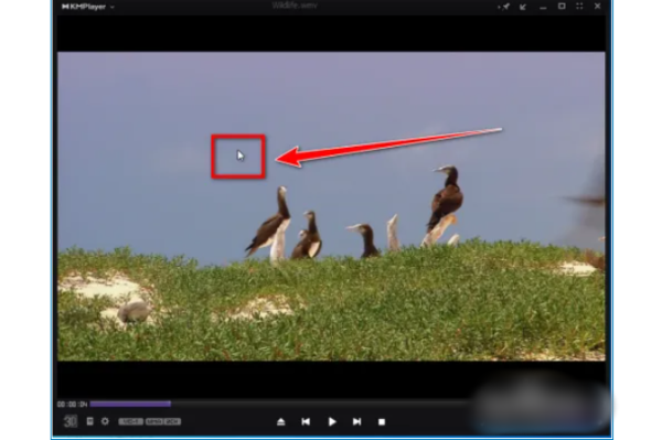 kmplayer plus如何调整字幕