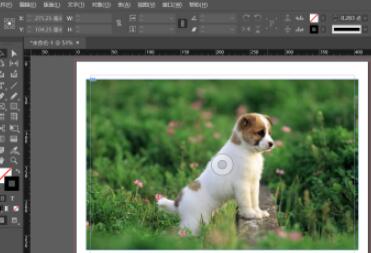 Indesign如何调整对象的透明度