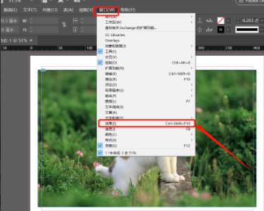 Indesign如何调整对象的透明度