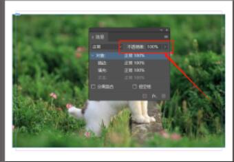 Indesign如何调整对象的透明度