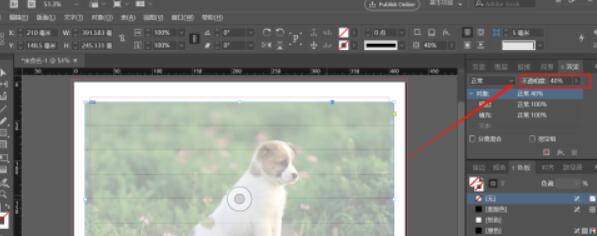 Indesign如何调整对象的透明度