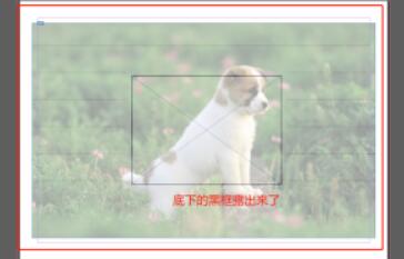 Indesign如何调整对象的透明度