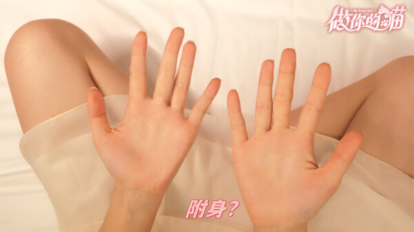 《做你的猫》官方版