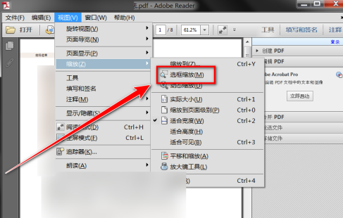 Adobe Reader XI怎么放大选中部分的内容