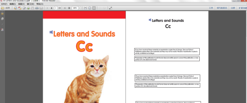 Adobe Reader XI怎么开启PDF文件为双面视图