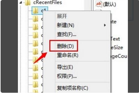 Adobe Reader XI怎么删除最近打开的文件