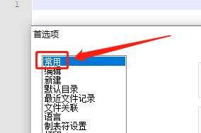 Notepad文件怎么显示列表面板