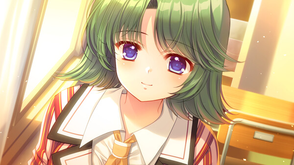 《繁花落舞恋如樱》官方版