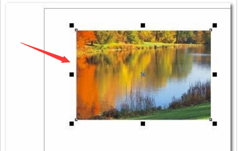 CDR怎么调节图片不透明度