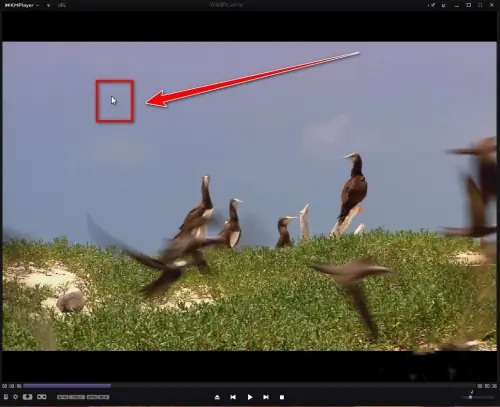 kmplayer plus如何加速