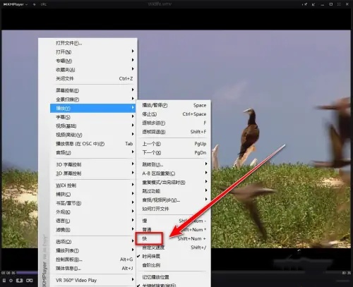 kmplayer plus如何加速
