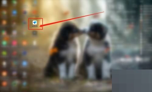 Todesk如何查看版本号