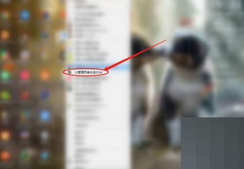 Todesk如何查看版本号