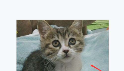 万兴喵影filmora怎么制作人物描边定格