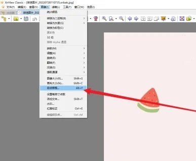 XnView中怎么启用自动修剪功能