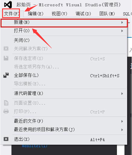 Visual Studio如何添加空网站