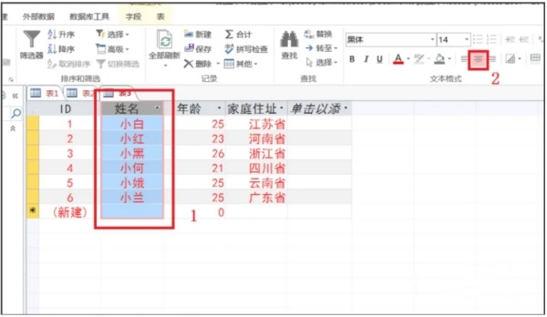 Access2013怎么更改字体