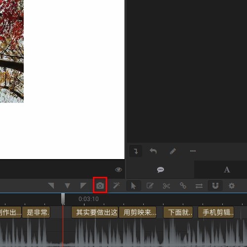 arctime视频画面怎么截图