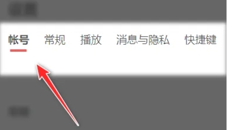 网易云音乐电脑版字体怎么设置