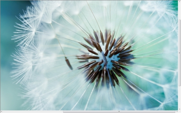 All网站图片批量下载器v3.18.07.05