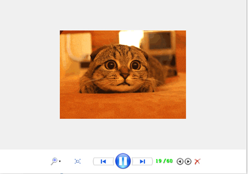 gif图像查看器v1.0