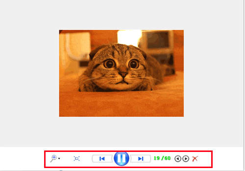 gif图像查看器v1.0