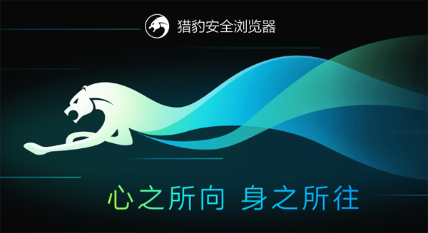 猎豹浏览器63位8.0