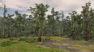 《荒野大镖客2》贝塔沼泽树MOD