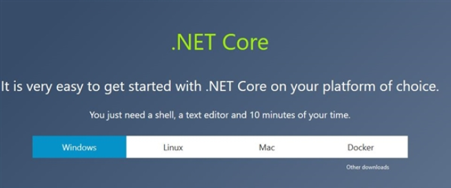 Microsoft .NET Corev3.1.407