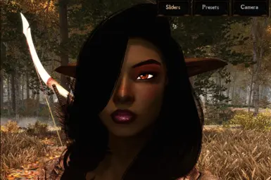 《上古卷轴5：天际重制版》阿卡维尔的黑眼MOD