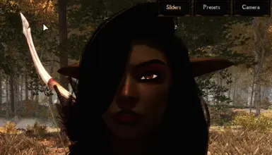 《上古卷轴5：天际重制版》阿卡维尔的黑眼MOD