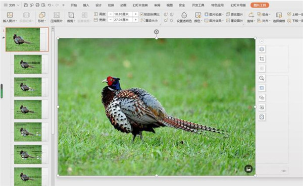 PPT如何修改母版背景图片