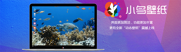 小鸟壁纸v3.1123.1805.322