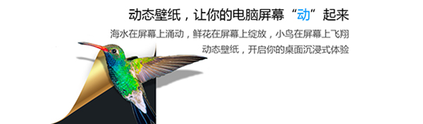 小鸟壁纸64位3.1123.2125.906