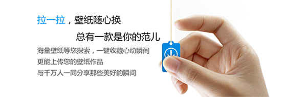 小鸟壁纸32位3.1123.2125.906