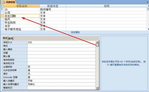 access单元格如何设置输入掩码格式