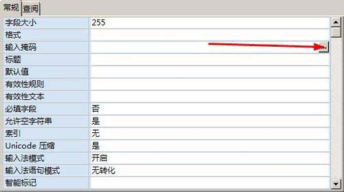 access单元格如何设置输入掩码格式
