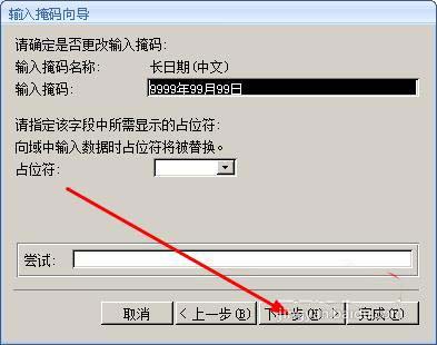 access单元格如何设置输入掩码格式