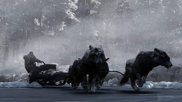 《归于沉寂》官方版