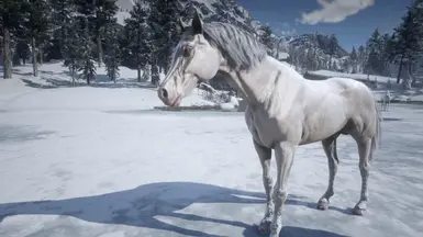 《荒野大镖客2》更大的阿拉伯马外观MOD