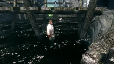 《上古卷轴5：天际重制版》盗贼的眼标MOD