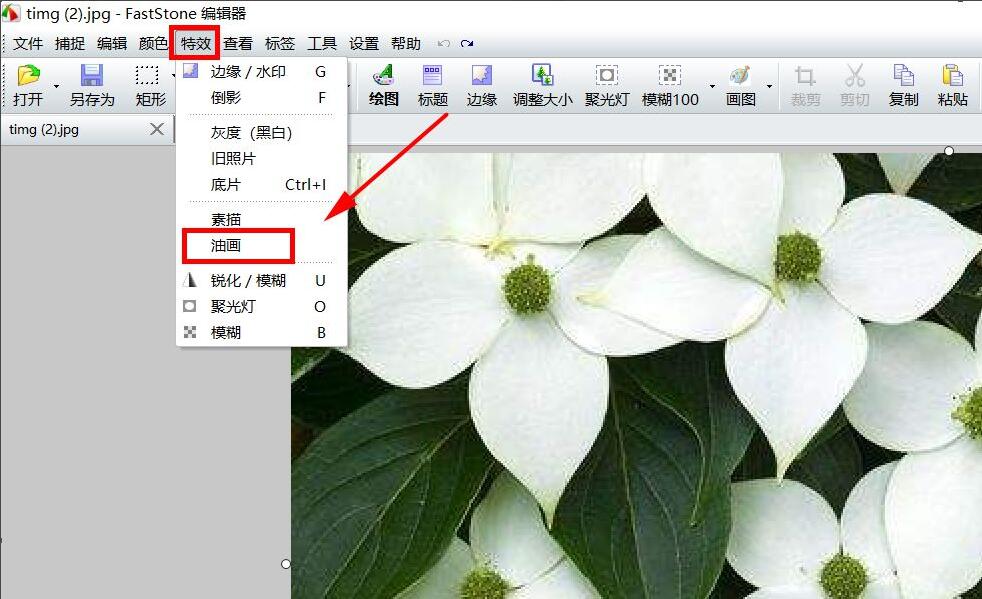 FastStone Capture怎么将照片做成油画