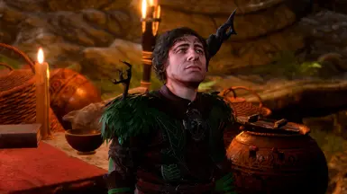 《博德之门3》翡翠林的守护者MOD