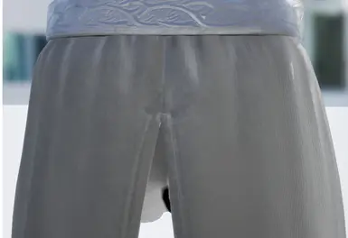 《上古卷轴4：湮灭重制版》长袍材质修复MOD