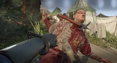 《天国：拯救2》即时枪击MOD