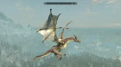 《上古卷轴5：天际重制版》瘦身龙MOD