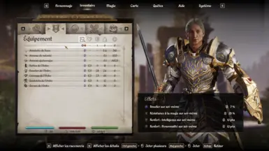 《上古卷轴4：湮灭重制版》阿卡托什骑士团盔甲附魔MOD